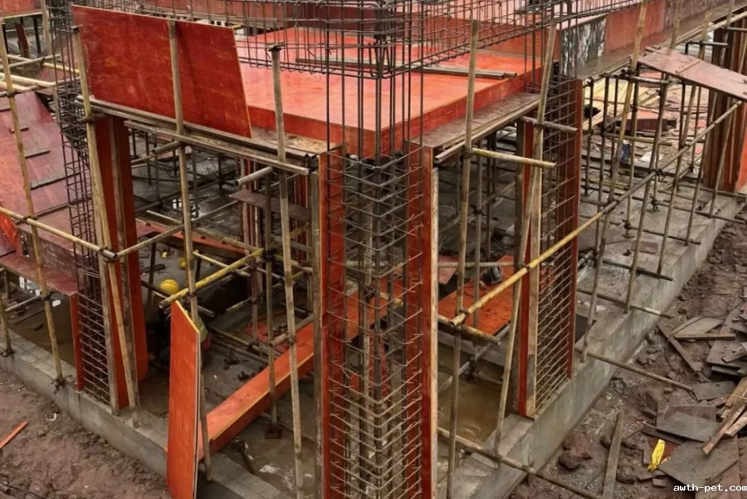 1756348306612862.jpg 640.jpg